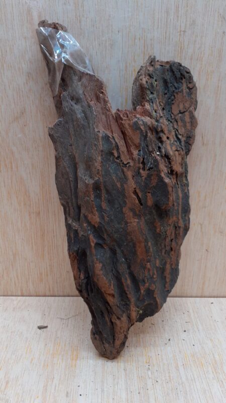 Driftwood - Small 1