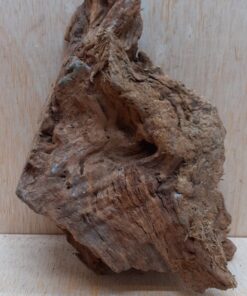Driftwood - Small 4