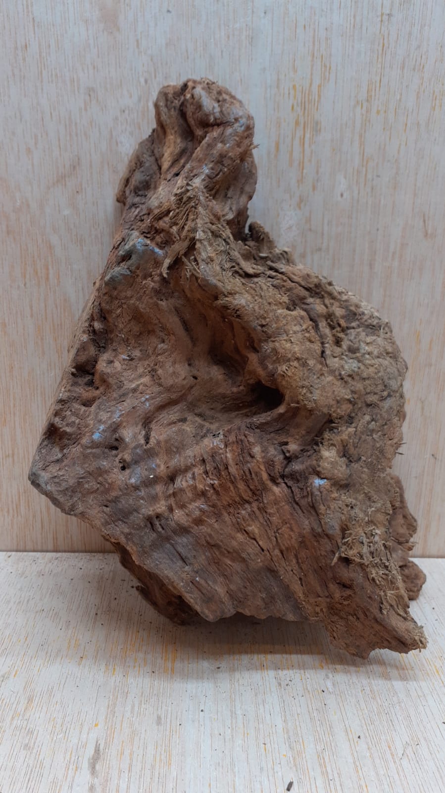 Driftwood - Small 4