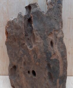 Driftwood - Small 20