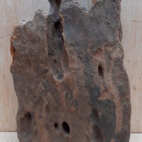 Driftwood - Small 20