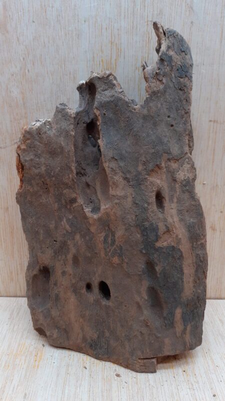 Driftwood - Small 20