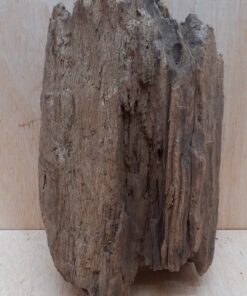 Driftwood - Medium 19
