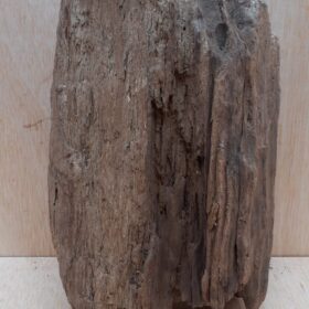 Driftwood - Medium 19