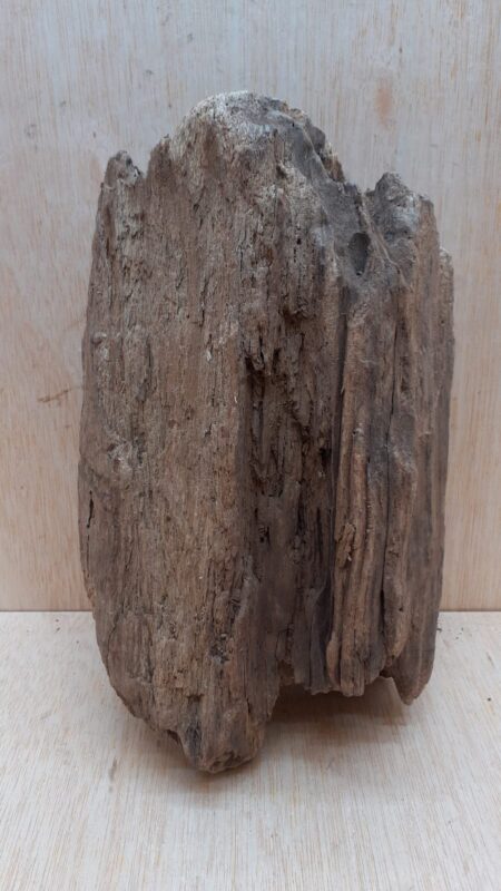 Driftwood - Medium 19
