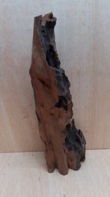 Driftwood - XL 10