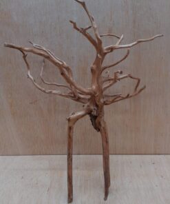 Moorwood - Medium 10