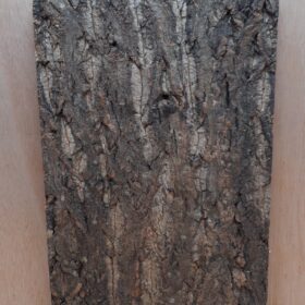 Cork Bark Background Panel 30x45cm - 6