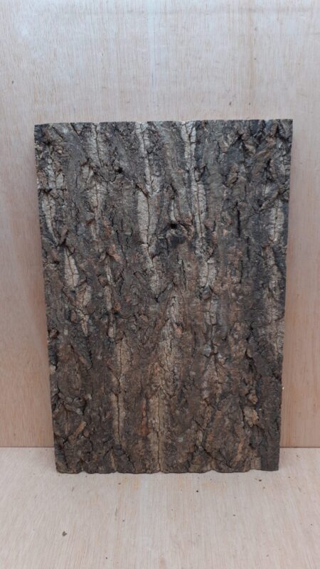 Cork Bark Background Panel 30x45cm - 6