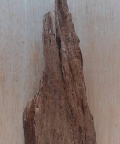 Driftwood - Medium 16