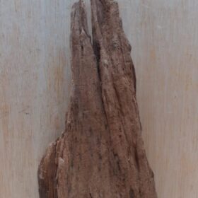 Driftwood - Medium 16