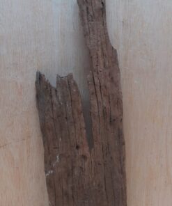 Driftwood - Large 6