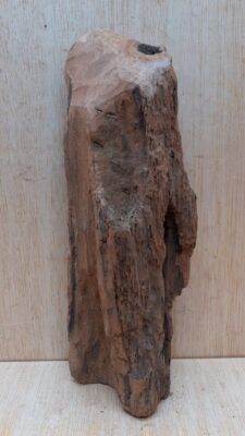 Driftwood - Small 12