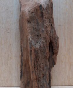 Driftwood - Small 12