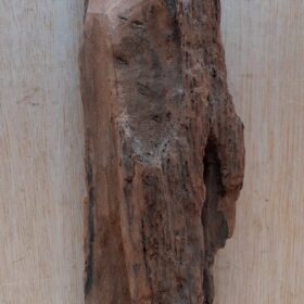 Driftwood - Small 12