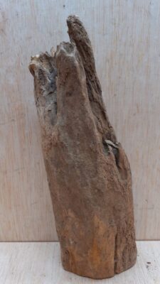 Driftwood - Small 16