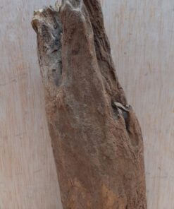Driftwood - Small 16