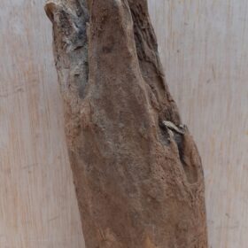 Driftwood - Small 16