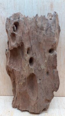Driftwood - Medium 15