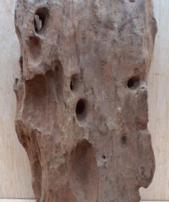 Driftwood - Medium 15