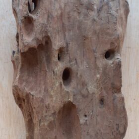 Driftwood - Medium 15