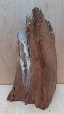 Driftwood - Medium 17