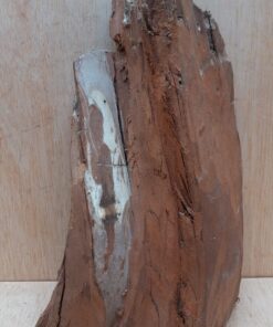 Driftwood - Medium 17