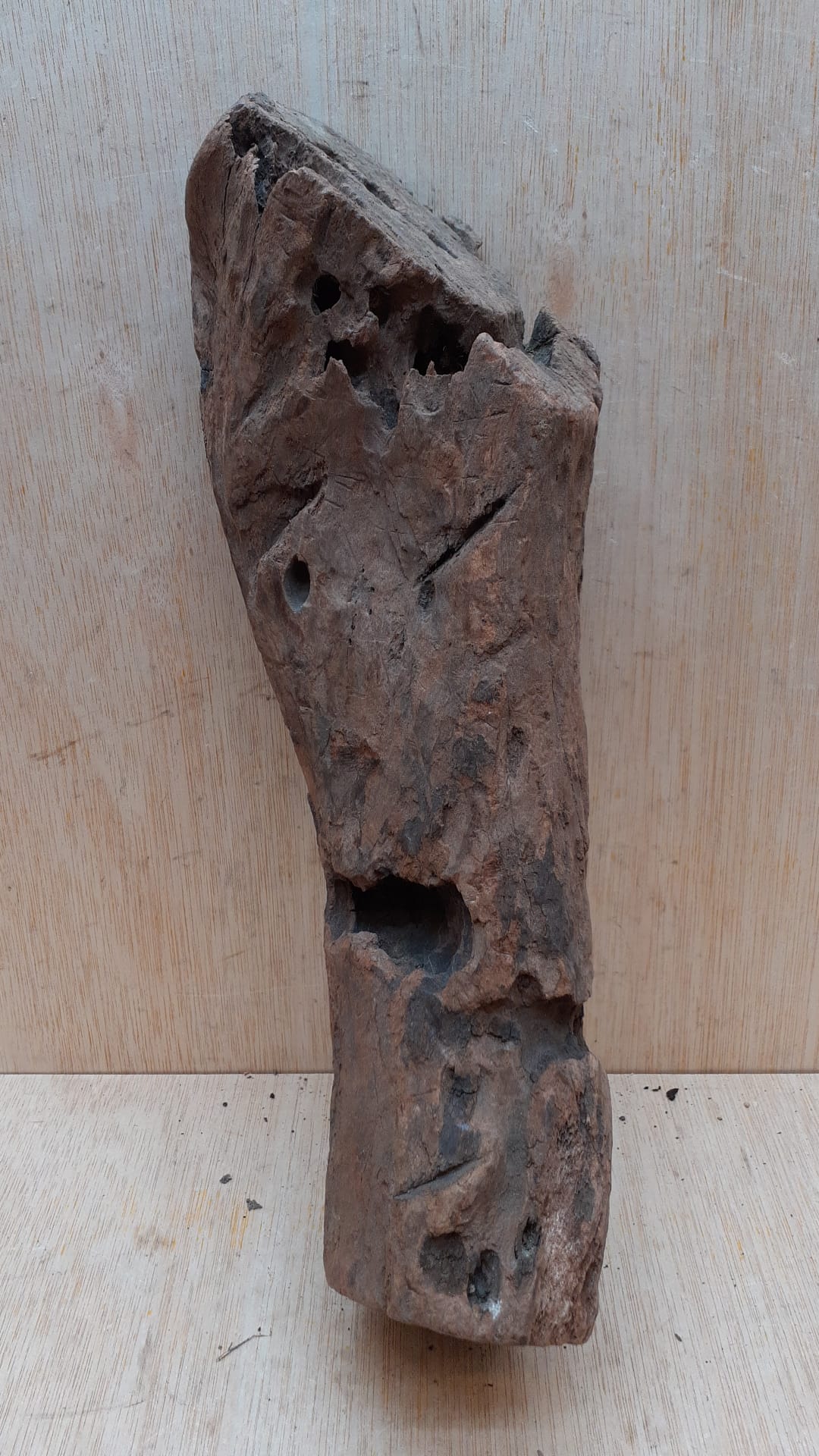 Driftwood - Large 13