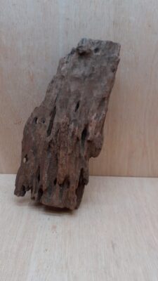 Driftwood - Medium 1
