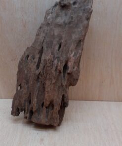 Driftwood - Medium 1