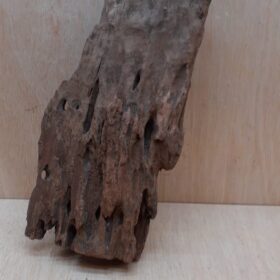 Driftwood - Medium 1
