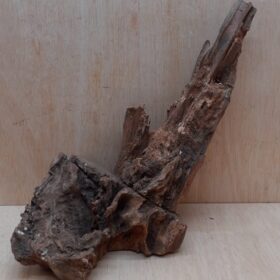 Driftwood - Large 11