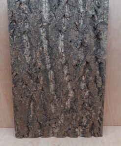 Cork Bark Background Panel 30x45cm - 7