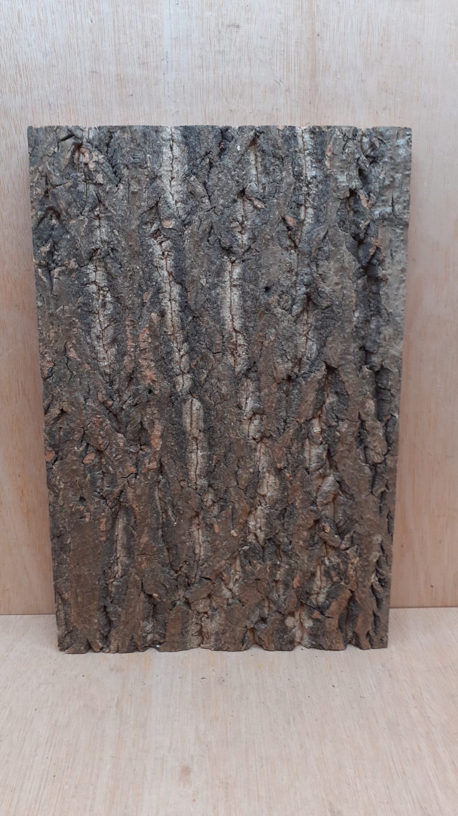 Cork Bark Background Panel 30x45cm - 7