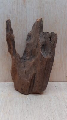 Driftwood - Small 19