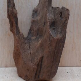 Driftwood - Small 19