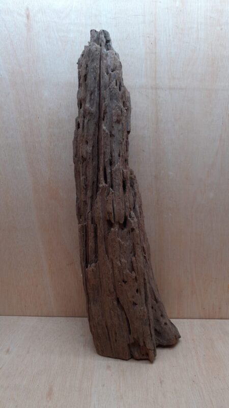 Driftwood - XL 3