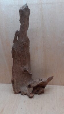 Driftwood - XL 15