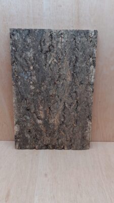 Cork Bark Background Panel 30x45cm - 1