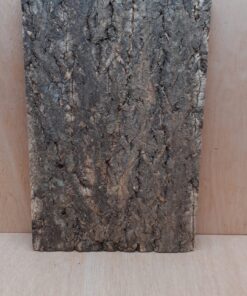 Cork Bark Background Panel 30x45cm - 1