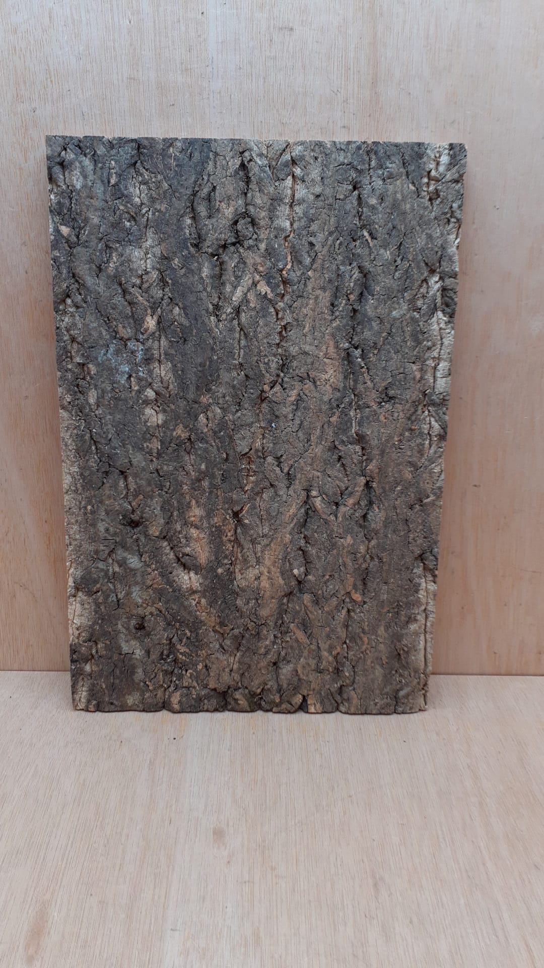 Cork Bark Background Panel 30x45cm - 1