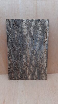 Cork Bark Background Panel 30x45cm - 2