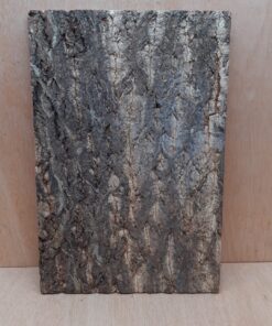 Cork Bark Background Panel 30x45cm - 2