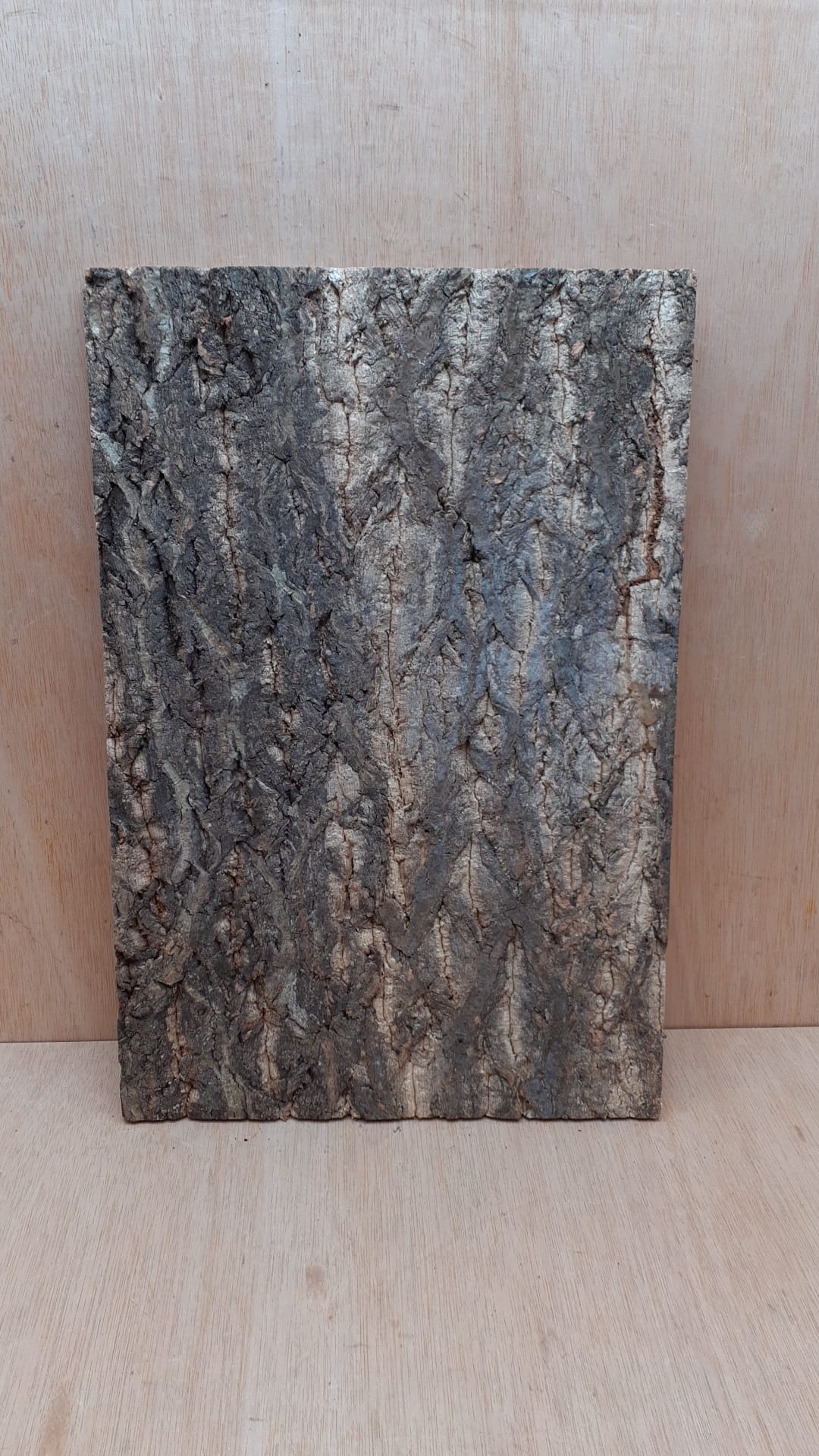Cork Bark Background Panel 30x45cm - 2