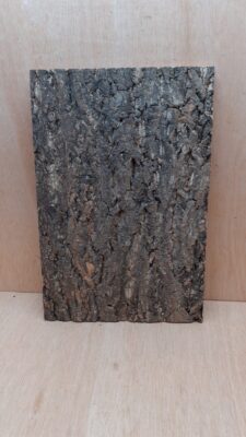 Cork Bark Background Panel 30x45cm - 5