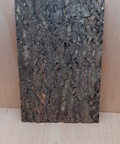 Cork Bark Background Panel 30x45cm - 5