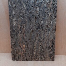 Cork Bark Background Panel 30x45cm - 5