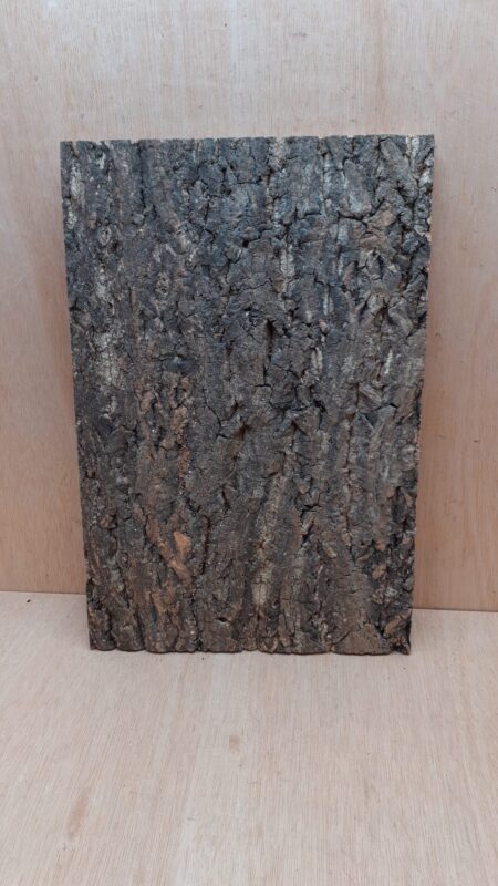 Cork Bark Background Panel 30x45cm - 5