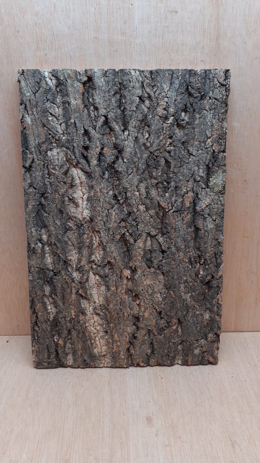 Cork Bark Background Panel 30x45cm - 8