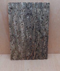 Cork Bark Background Panel 30x45cm - 9